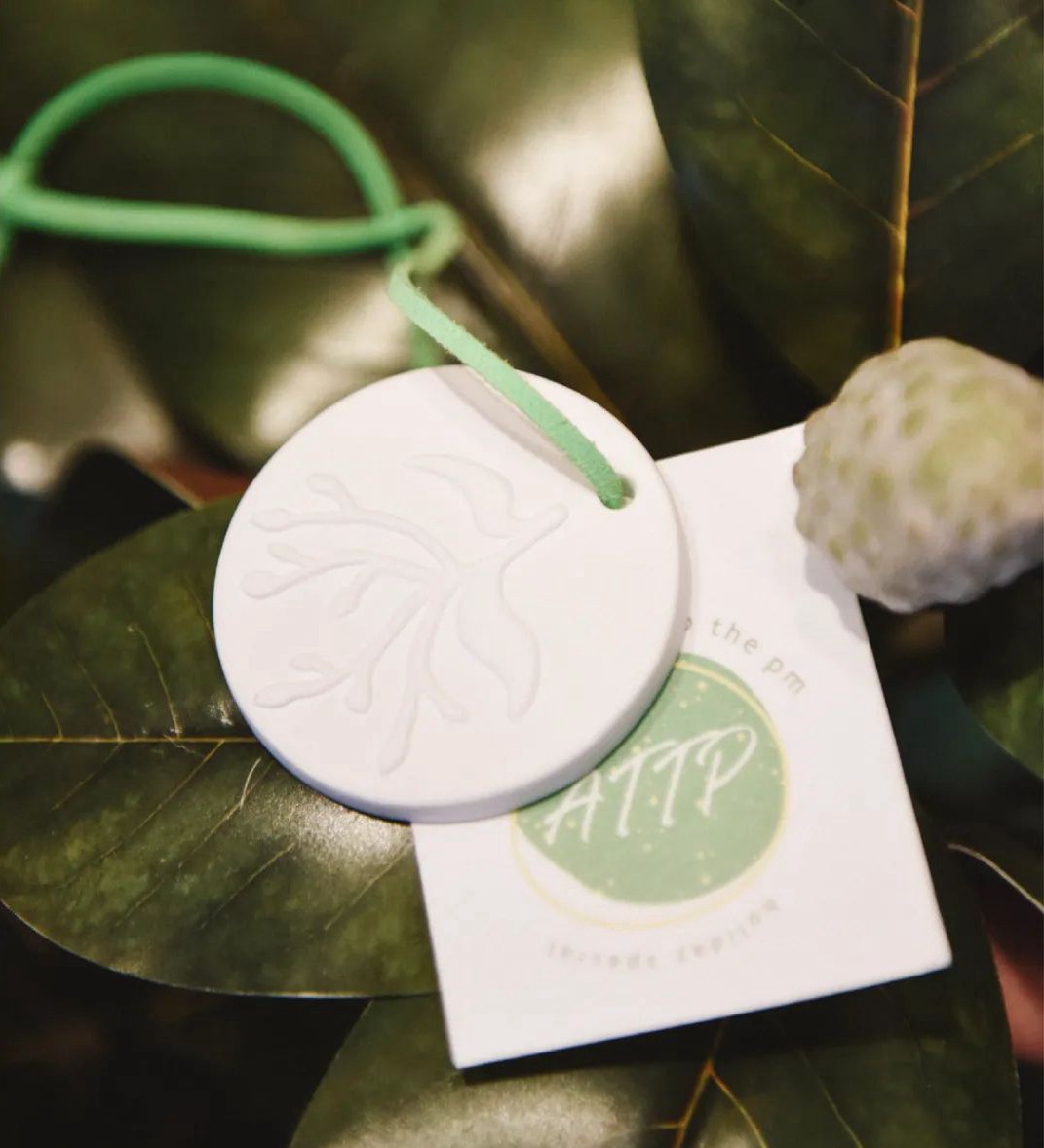 1658720893357137TMyT.jpg 2.jpg